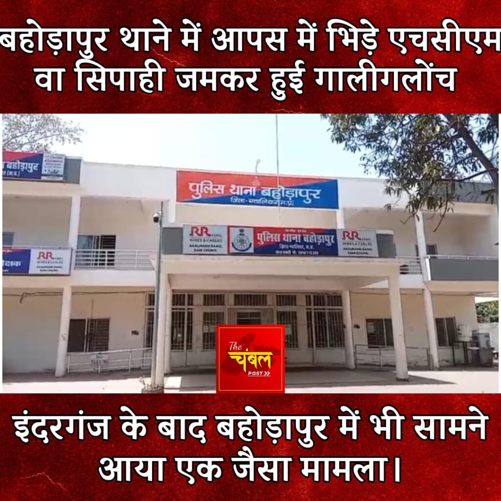 WhatsApp Image 2025-01-09 at 10.40.39 PM